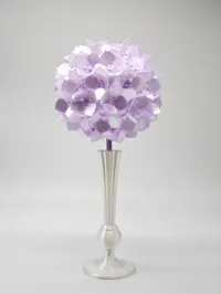 锯齿形的花瓣的花,这个花也只要一层花瓣