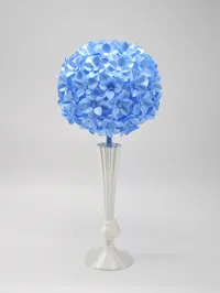 尖花瓣的花