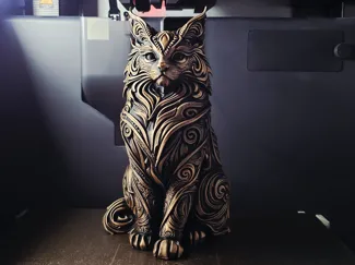 Cat, Maine Coon Cat