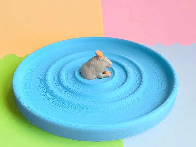 Zen Capybara Trinket Tray