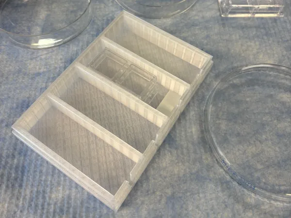 https://makerworld.bblmw.com/makerworld/model/US7e4ade06c81474/design/c79771a7247c4274.jpg
