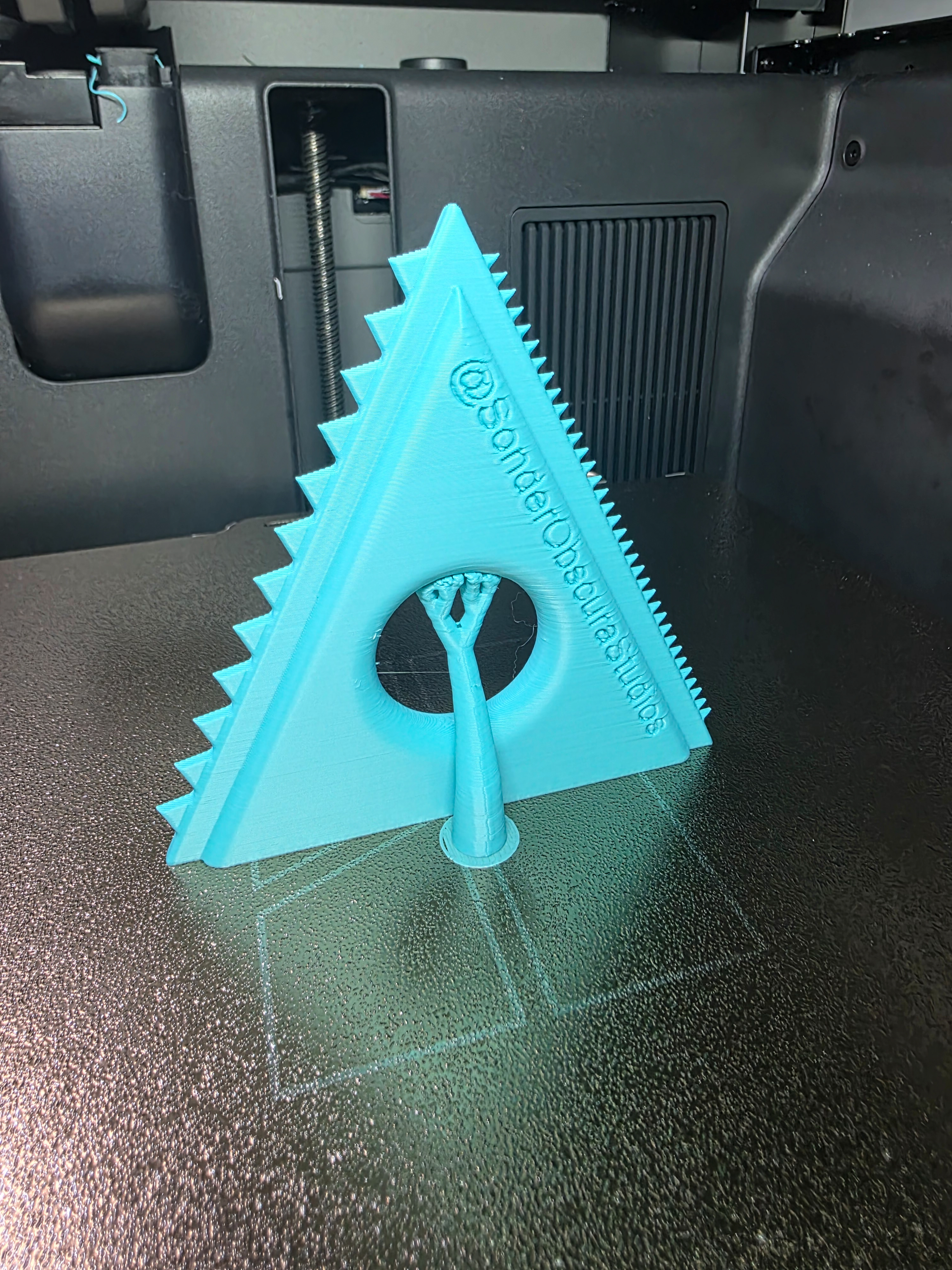 Car Pet Hair Remover - 1