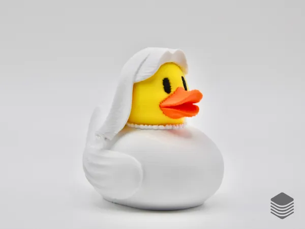 https://makerworld.bblmw.com/makerworld/model/US7e503c223301ee/design/2025-02-23_d871b4af6514f.png