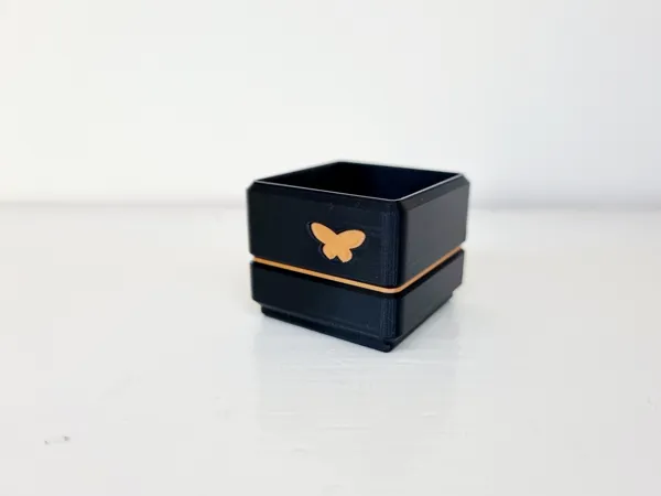 https://makerworld.bblmw.com/makerworld/model/US7e50d2005c35bc/design/2024-05-18_ace25f54c11ef.jpg