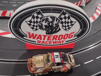 WaterDog Raceway Light Box