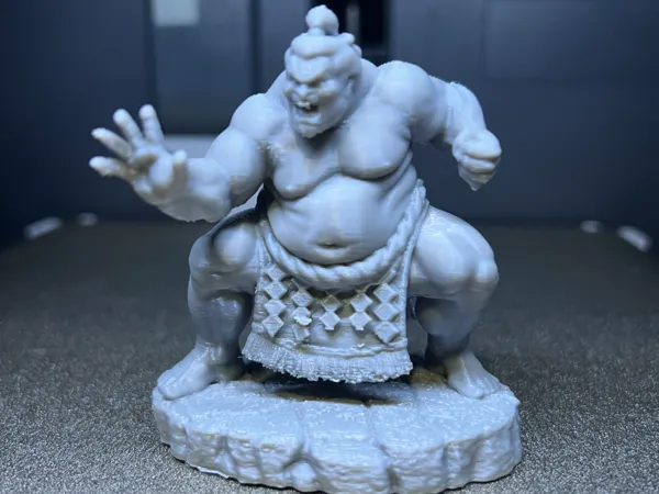 https://makerworld.bblmw.com/makerworld/model/US7e57dfce9e5186/design/2bd9f682a90079cb.jpg