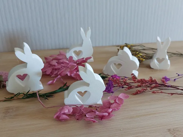 https://makerworld.bblmw.com/makerworld/model/US7e585b8da26cb8/design/9807b64c8a2eff96.jpg