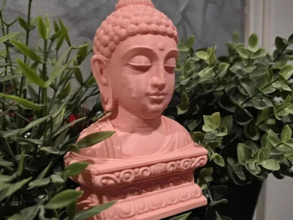 https://makerworld.bblmw.com/makerworld/model/US7e5bb480db9402/design/2025-11-03_d00558d8e63968.jpg