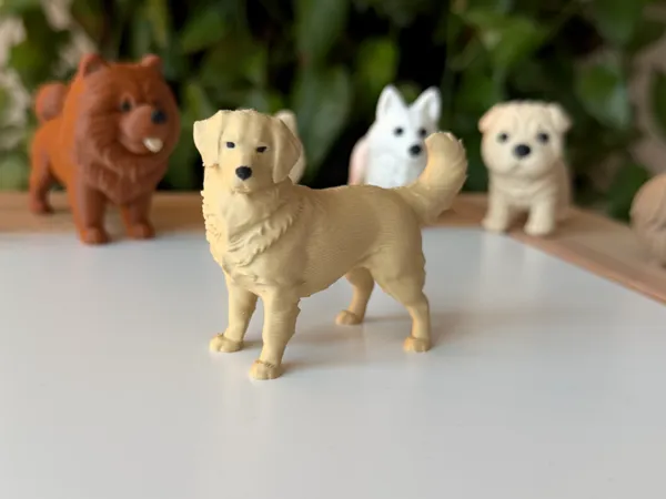 https://makerworld.bblmw.com/makerworld/model/US7e5bfdd2a12795/design/65449880b62486d3.jpeg