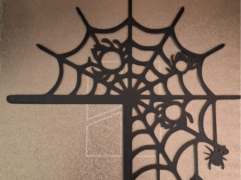 spider web