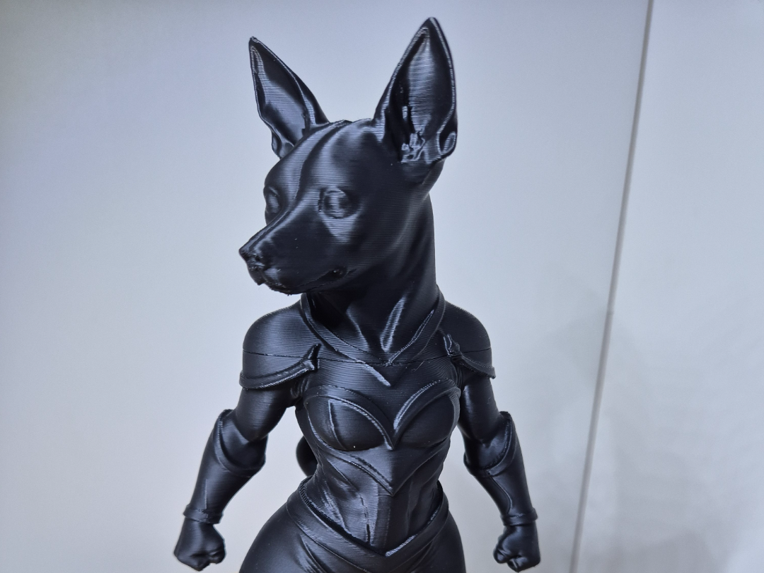 Marvelous Pinscher / Super Pinscher 