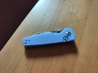 kizer parakeet scales