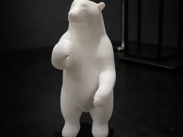 https://makerworld.bblmw.com/makerworld/model/US7e5f43950fd152/design/2026-01-20_01e084277585a.png