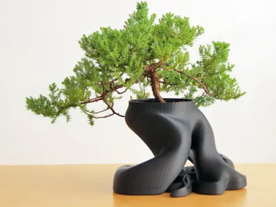 Tentacle Bonsai Planter – Stylish and Resizable