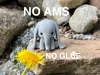 No AMS 5.5cm Height