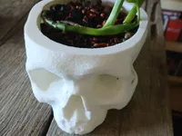 Pot de fleurs tête de mort — photo 2
