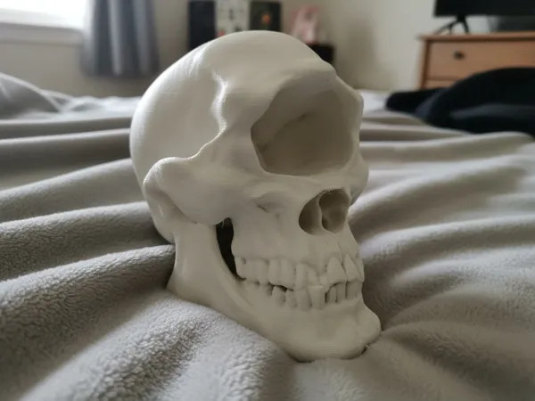 https://makerworld.bblmw.com/makerworld/model/US7e68c906ce2e1d/design/2025-09-26_62d33a2f63cf3.png