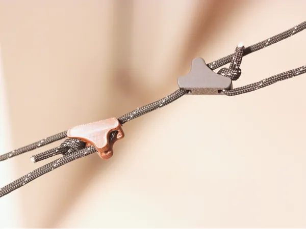 https://makerworld.bblmw.com/makerworld/model/US7e6c47cd9beb32/design/2025-04-21_963c98bf2301a.jpg