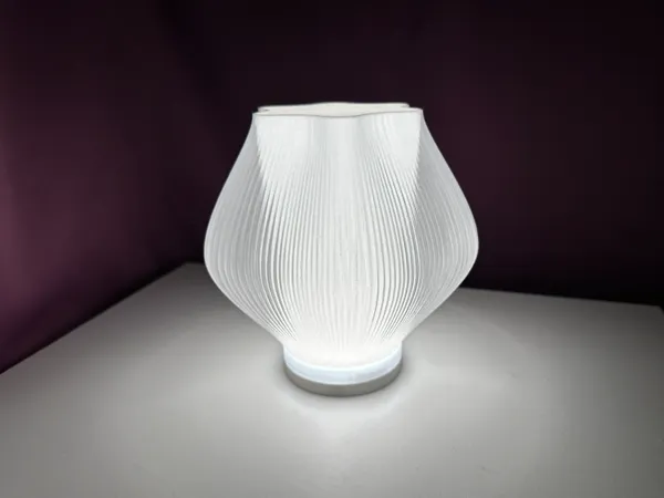 https://makerworld.bblmw.com/makerworld/model/US7e70c1a56a3c/design/2024-06-22_06d9c3f9a98fc.jpg