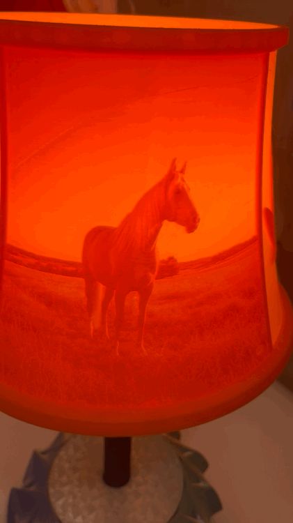 Cowboy theme lithopane lamp shade