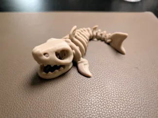 flexi skeleton shark