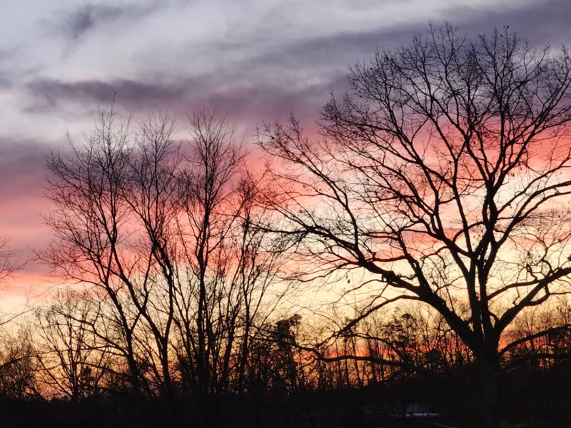 Night Sky