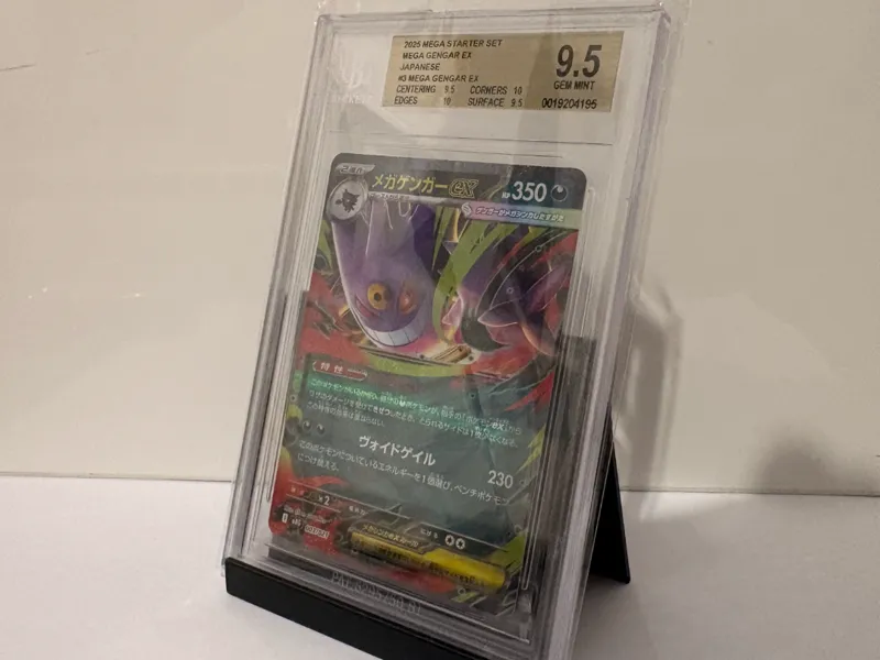 Universaler Kartenständer für Slabs & TCG Booster