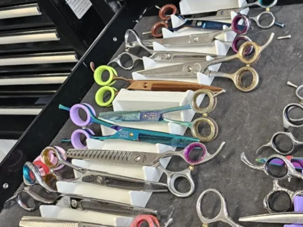 https://makerworld.bblmw.com/makerworld/model/US7e7f16fe813262/design/2025-07-17_666e1e9dc5ea88.jpg