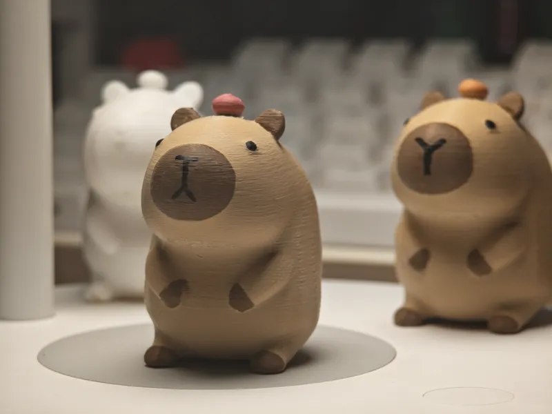 Capybara 卡皮巴拉