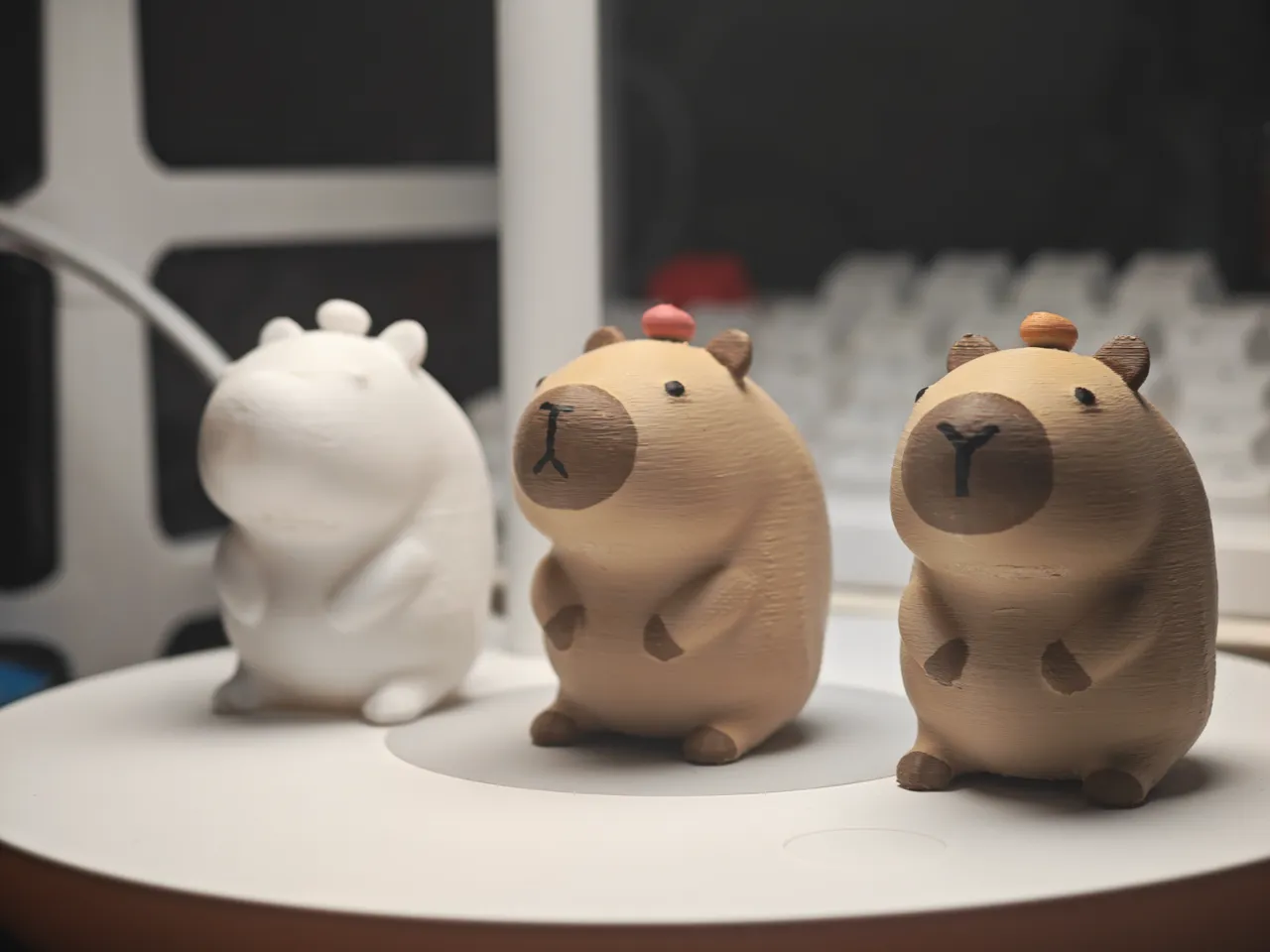 Capybara 卡皮巴拉 view 4