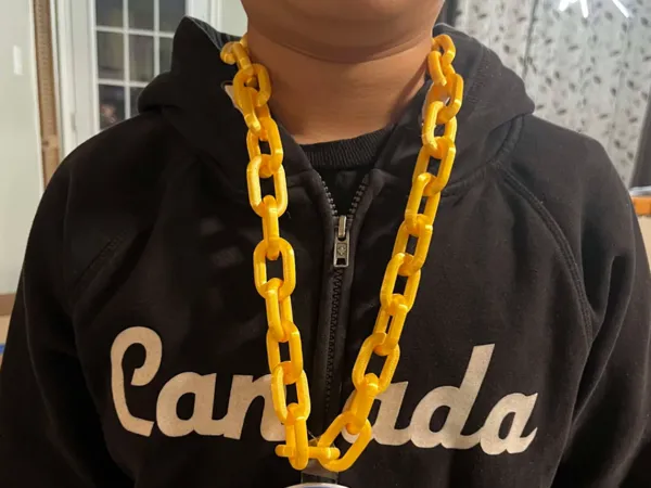 https://makerworld.bblmw.com/makerworld/model/US7e7fe4774294b/design/2025-02-11_c206bce3c4389.jpg
