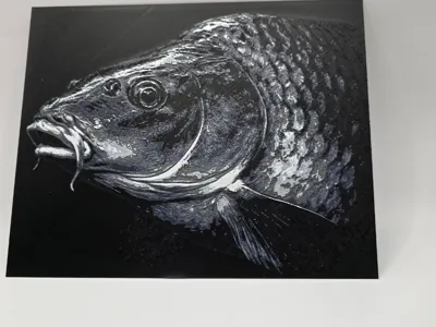 common carp huforge