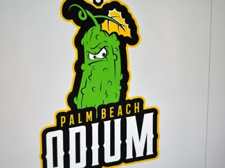 Palm Beach Odium Paintball Team Keychain