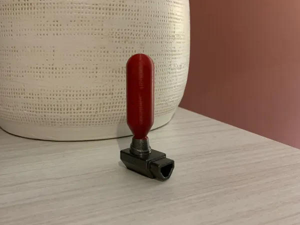https://makerworld.bblmw.com/makerworld/model/US7e8485fc4235bc/design/2024-08-04_c5e790131f0c1.jpeg