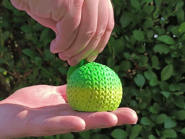 https://makerworld.bblmw.com/makerworld/model/US7e880595876d08/design/ce8178f38c6ea67b.gif