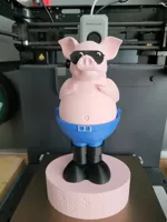 Tirelire cochon — photo 5