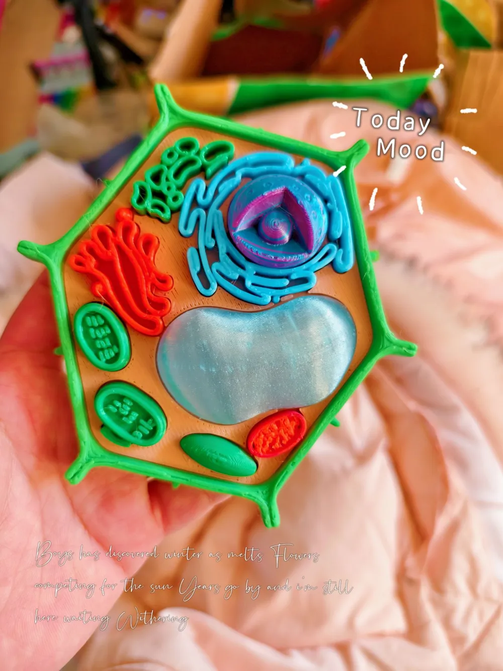 Plant cell model biology assignment - Free 3D Print Model - MakerWorld