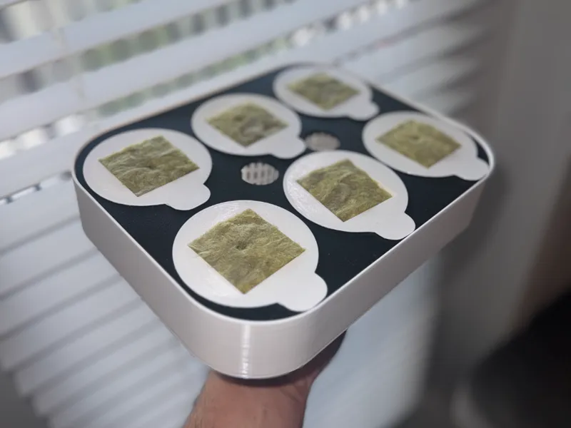 Seedling starter for Ycubes