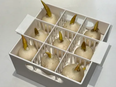Tulip Hydroponic Nine-Cell Planting Plate Flower Pot Set