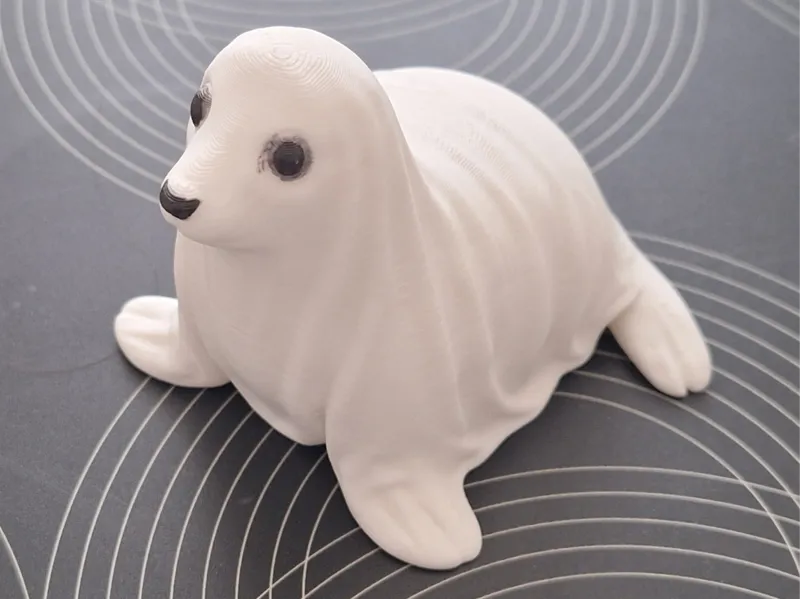 Geisterrobbe - ghost seal