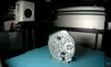 X1C\A1 Mini tested 0.16mm layer, 4 walls, 20% infill