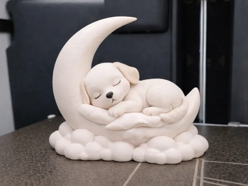 Sleeping dog on a moon