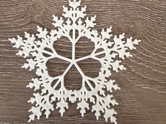 Winter Snowflake