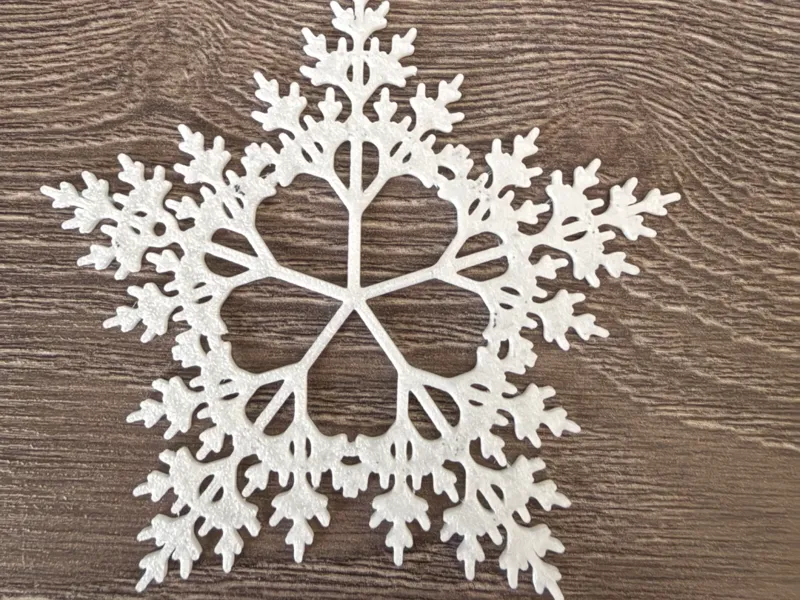 Winter Snowflake