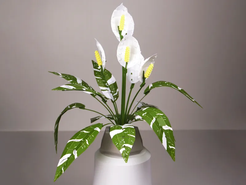 Low Poly Plant - Peace Lily