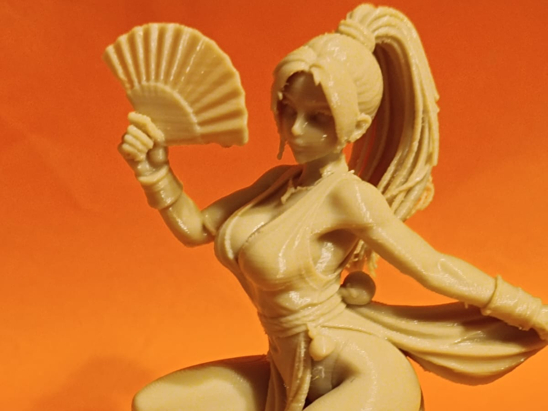 Fan Fighter Video Game  Dancer Kombat