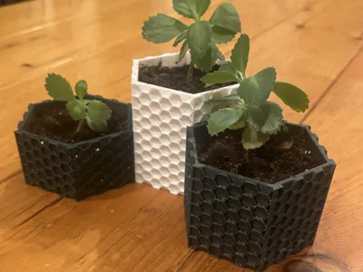 Hexagon Planter/Pot