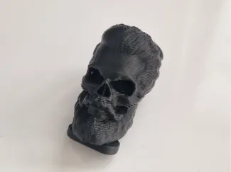 Skull Plug