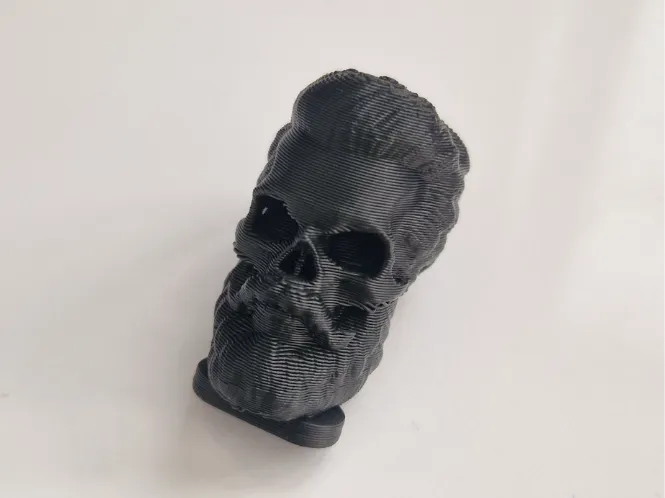 Skull Plug