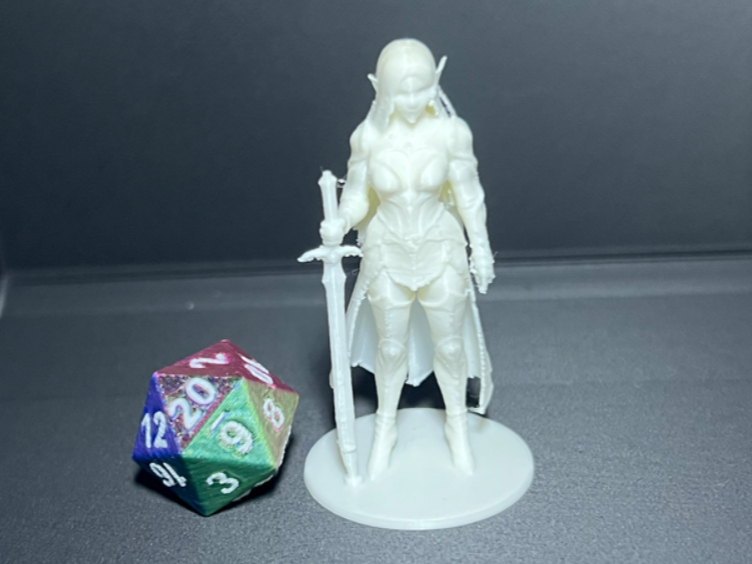 D&D-Elfe-Kriegerin